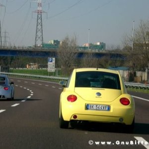 22-03-2009 - SprinGnuBittol 2009