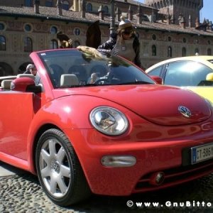 22-03-2009 - SprinGnuBittol 2009