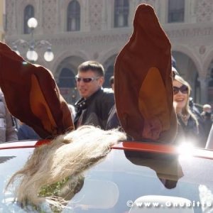 22-03-2009 - SprinGnuBittol 2009