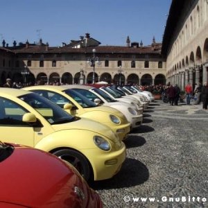 22-03-2009 - SprinGnuBittol 2009