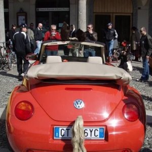 22-03-2009 - SprinGnuBittol 2009