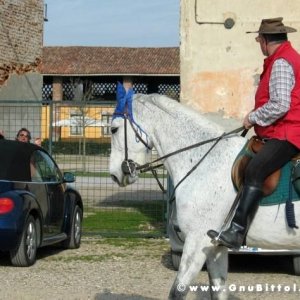 22-03-2009 - SprinGnuBittol 2009