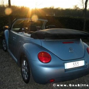 SprinGnuBittol 2009 - GnuConcorso Fotografico