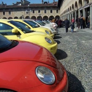 22-03-2009 - SprinGnuBittol 2009