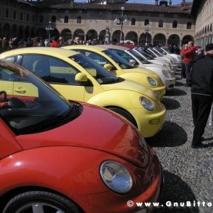 22-03-2009 - SprinGnuBittol 2009