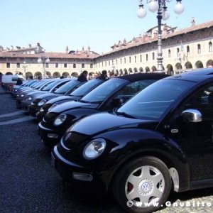 22-03-2009 - SprinGnuBittol 2009