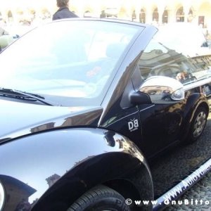 22-03-2009 - SprinGnuBittol 2009