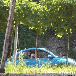 scampaGNUata 2009 - GnuConcorso Fotografico.