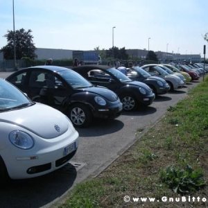 28-06-2009 - scampaGNUata d'estate 2009