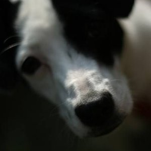 20-09-2009 - romaGNUa mia! 2009