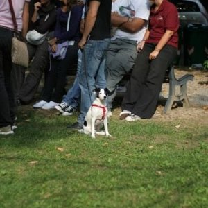 20-09-2009 - romaGNUa mia! 2009