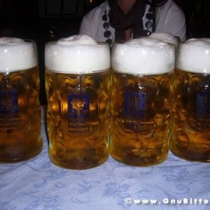 20-09-2009 - romaGNUa mia! 2009