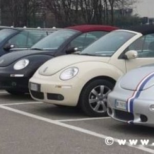 21-03-2010 -  boloGNUbittol 2010