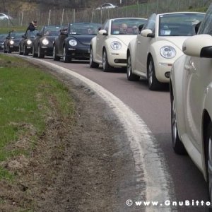 21-03-2010 -  boloGNUbittol 2010