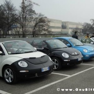 21-03-2010 -  boloGNUbittol 2010