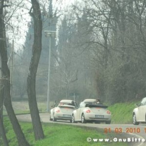 21-03-2010 -  boloGNUbittol 2010