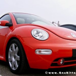 21-03-2010 -  boloGNUbittol 2010