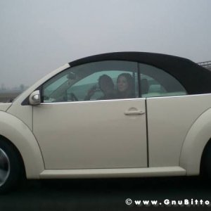 21-03-2010 -  boloGNUbittol 2010