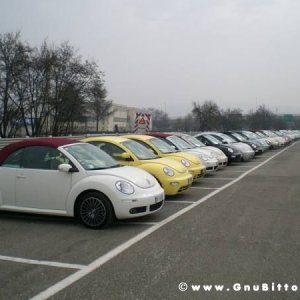 21-03-2010 -  boloGNUbittol 2010