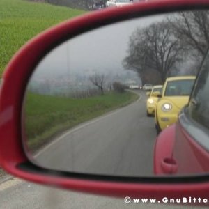 21-03-2010 -  boloGNUbittol 2010