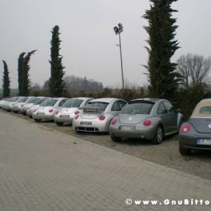 21-03-2010 -  boloGNUbittol 2010