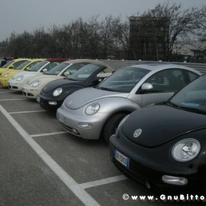 21-03-2010 -  boloGNUbittol 2010