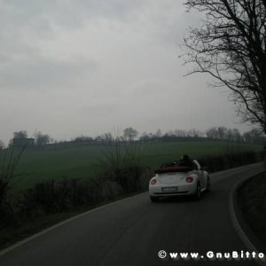 21-03-2010 -  boloGNUbittol 2010