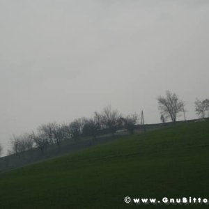 21-03-2010 -  boloGNUbittol 2010