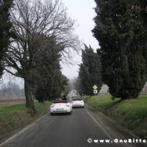 21-03-2010 -  boloGNUbittol 2010