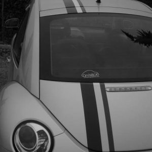 21-03-2010 -  boloGNUbittol 2010