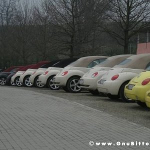 21-03-2010 -  boloGNUbittol 2010