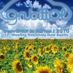 06-06-2010  - benvGNU in Parma! 2010