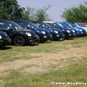 06-06-2010  - benvGNU in Parma! 2010