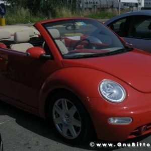 06-06-2010  - benvGNU in Parma! 2010