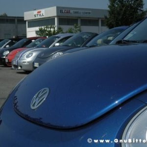 06-06-2010  - benvGNU in Parma! 2010