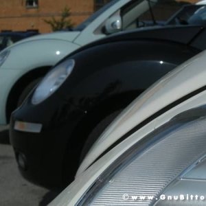 06-06-2010  - benvGNU in Parma! 2010