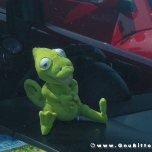 06-06-2010  - benvGNU in Parma! 2010