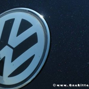 06-06-2010  - benvGNU in Parma! 2010