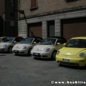 06-06-2010  - benvGNU in Parma! 2010