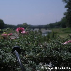 06-06-2010  - benvGNU in Parma! 2010