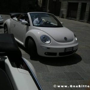 06-06-2010  - benvGNU in Parma! 2010