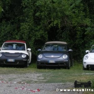 06-06-2010  - benvGNU in Parma! 2010