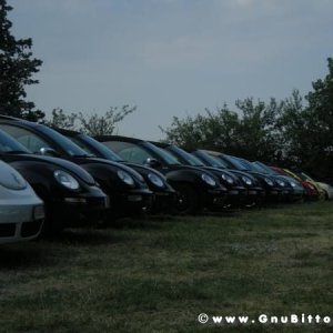 06-06-2010  - benvGNU in Parma! 2010