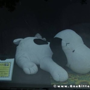 06-06-2010  - benvGNU in Parma! 2010