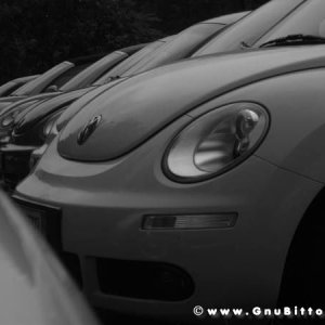 06-06-2010  - benvGNU in Parma! 2010