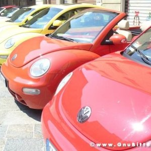 06-06-2010  - benvGNU in Parma! 2010