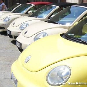 06-06-2010  - benvGNU in Parma! 2010