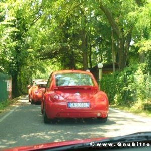 06-06-2010  - benvGNU in Parma! 2010