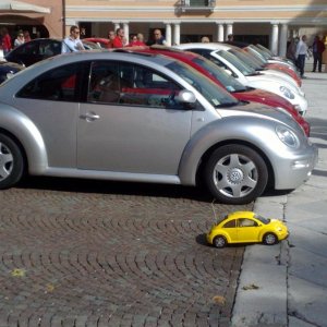 ESTremamente GNU 2010