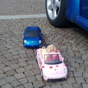 ESTremamente GNU 2010